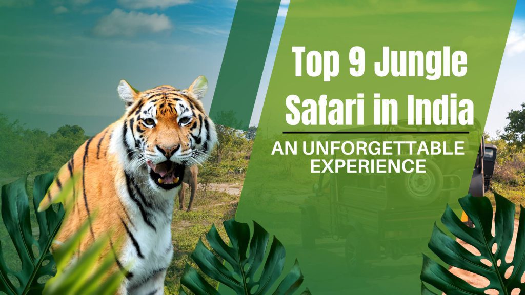 Top 9 Jungle Safari in India